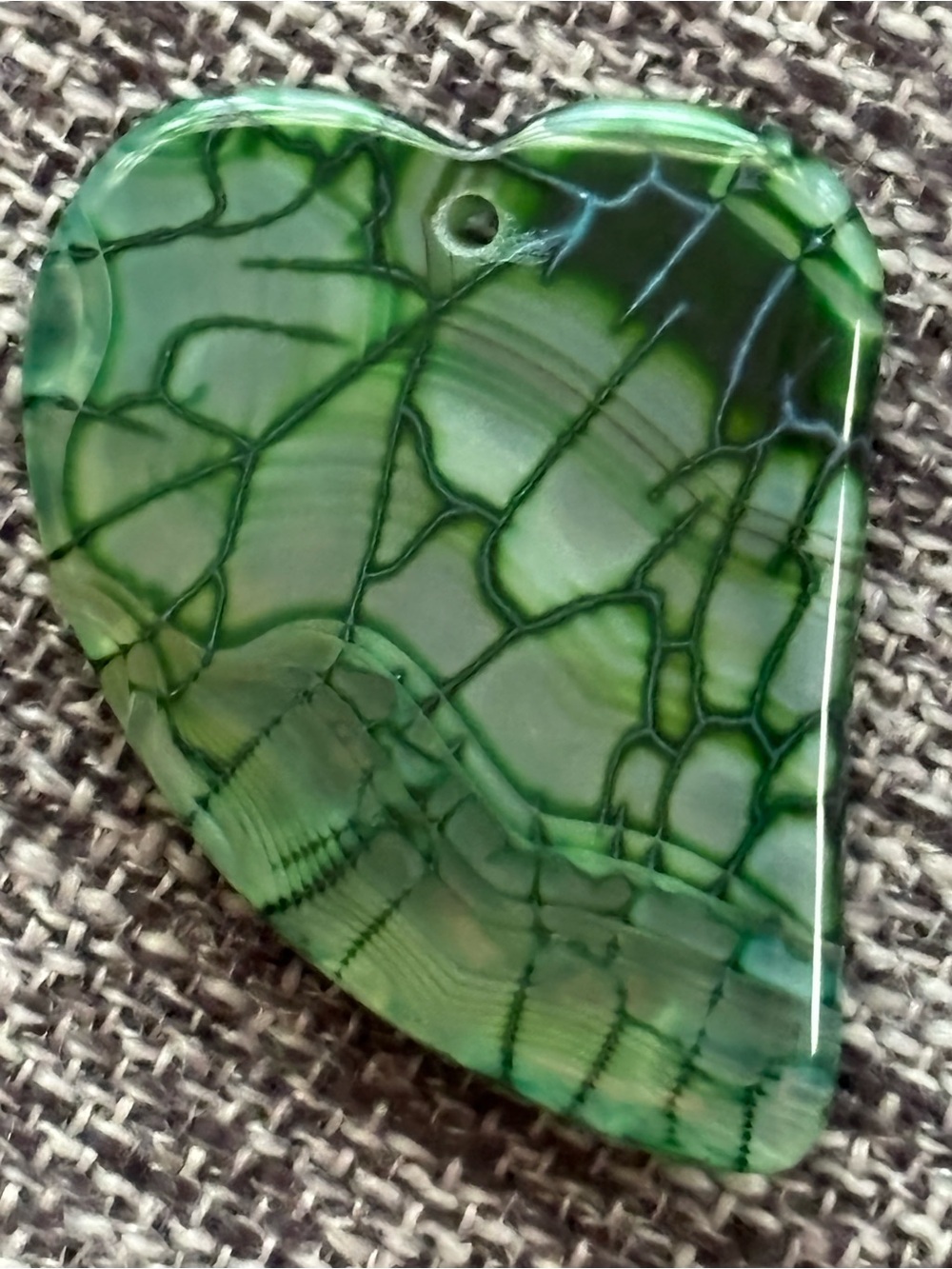 Close Up Vein Stem Leaf Phototropism Color Rock - Picture 12 of 16